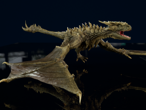3D Wyvern Animations Dragon model 3D Model