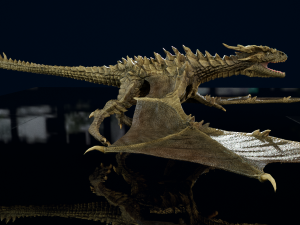 3D Wyvern Animations Dragon model 3D Model