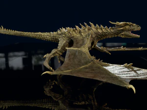 3D Wyvern Animations Dragon model 3D Model