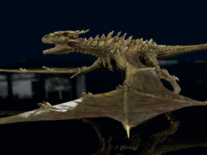 3D Wyvern Animations Dragon model 3D Model