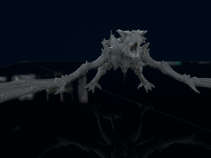 3D Wyvern Animations Dragon model 3D Model