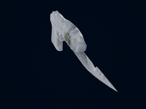 Eagle Shotgun Modelo 3D