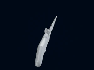 3Dケリスソード 3Dモデル