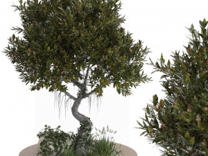 Outdoor Garden Set 01 3D Модель