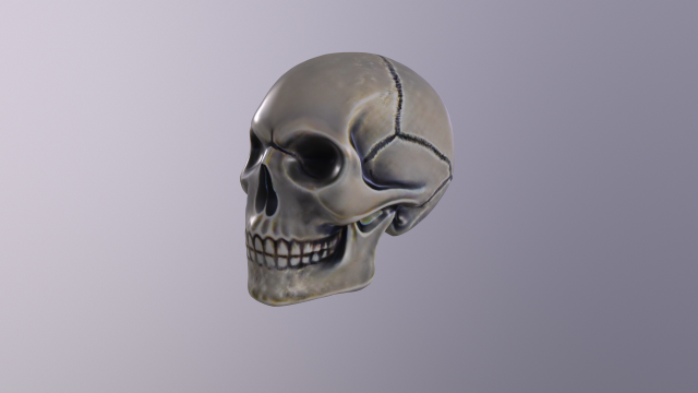 Human skull handpainted 3D Model .c4d .max .obj .3ds .fbx .stl .blend 