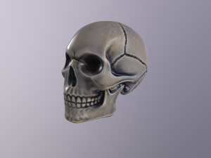 Human skull handpainted 3D Model