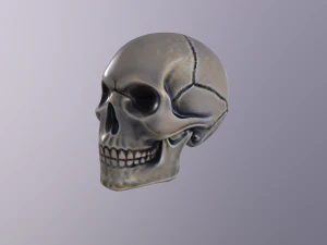 Розписаний людський череп 3D Модель