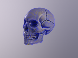Human skull handpainted 3D Model