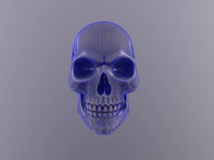 Human skull handpainted 3D Model