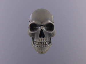 Human skull handpainted 3D Model