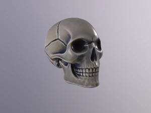 Human skull handpainted 3D Model
