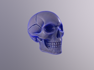 Human skull handpainted 3D Model