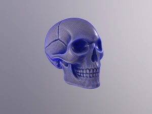 Human skull handpainted 3D Model
