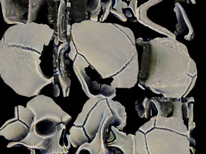 Human skull handpainted 3D Model