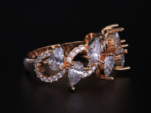 Women jewelry Ring 3dm 3D Print Model