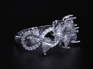 Women jewelry Ring 3dm 3D Print Model