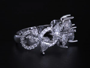Women jewelry Ring 3dm 3D Print Model
