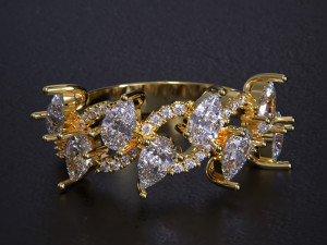 Women jewelry Ring 3dm 3D Print Model