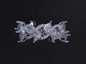 Women jewelry Ring 3dm 3D Print Model