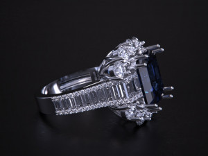 Women jewelry Ring 3Dプリントモデル