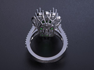 Women jewelry Ring 3Dプリントモデル