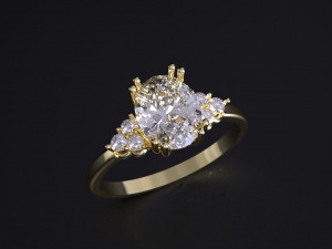 The Fashion of Wedding Ring 3D 프린트 모델