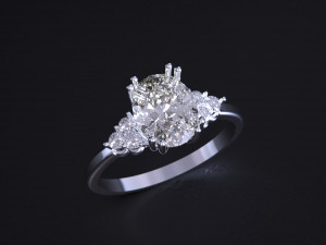 The Fashion of Wedding Ring 3D 프린트 모델