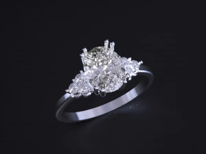 The Fashion of Wedding Ring 3D Print Model