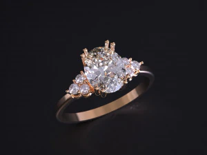 The Fashion of Wedding Ring 3D Print Model