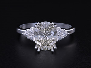 The Fashion of Wedding Ring 3D 프린트 모델