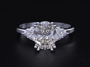 The Fashion of Wedding Ring 3D Print Model