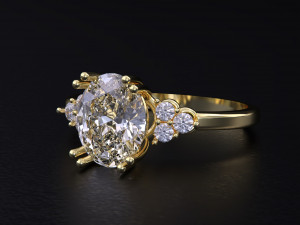 The Fashion of Wedding Ring 3D 프린트 모델