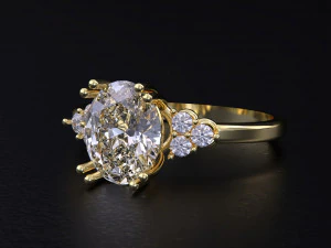 The Fashion of Wedding Ring 3D Print Model