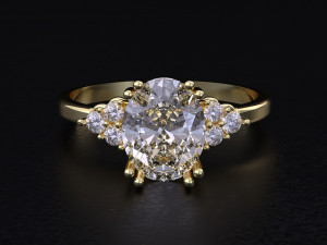 The Fashion of Wedding Ring 3D 프린트 모델