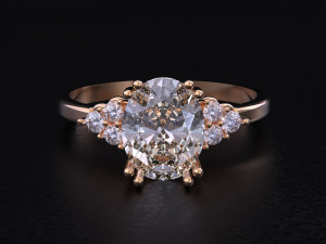 The Fashion of Wedding Ring 3D 프린트 모델