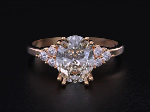 The Fashion of Wedding Ring 3D Print Model