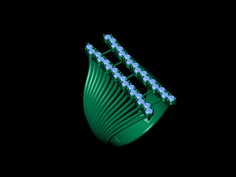 Women Jewelry Ring 3D Print Model