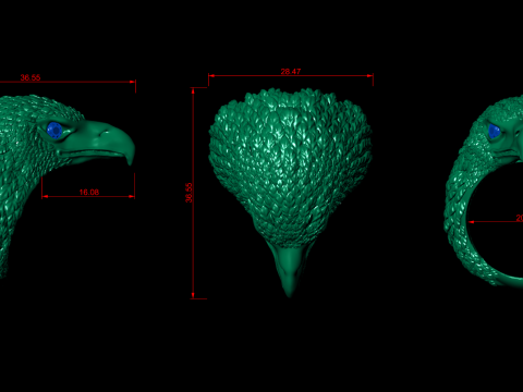 Eagle ring Modèles 3D en vedette