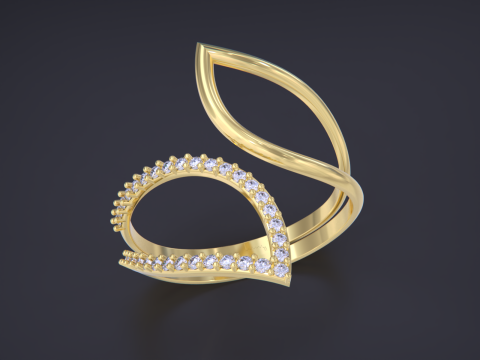 Jewelry ring Modelo de impresión 3D