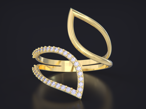 Jewelry ring Modelo de impresión 3D