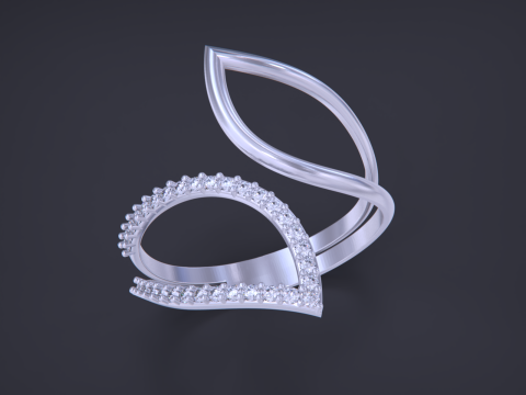 Jewelry ring Modelo de impresión 3D