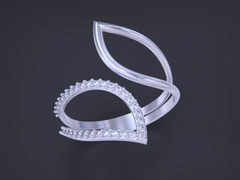 Jewelry ring 3D Print Model