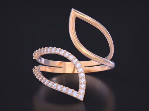 Jewelry ring Modelo de impresión 3D
