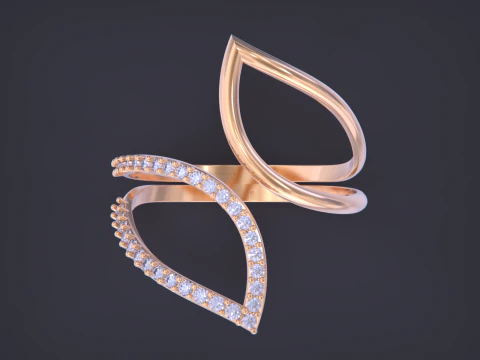 Jewelry ring 3D Print Model