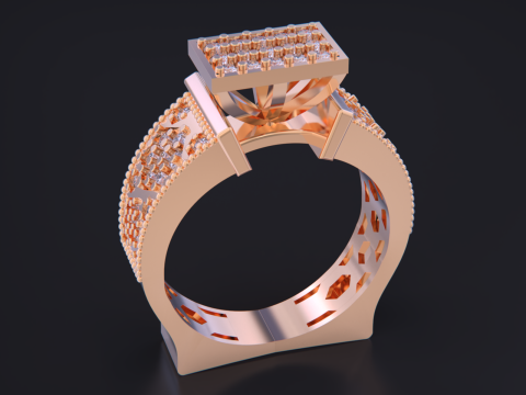 Jewelry Ring 3D Print Model