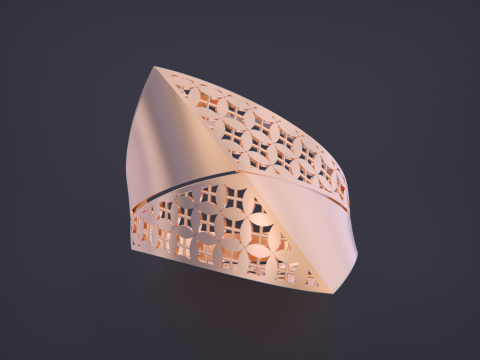 Fusion ring Modèles 3D en vedette