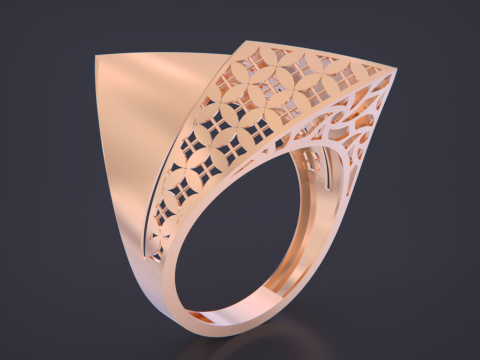 Fusion ring Modèles 3D en vedette
