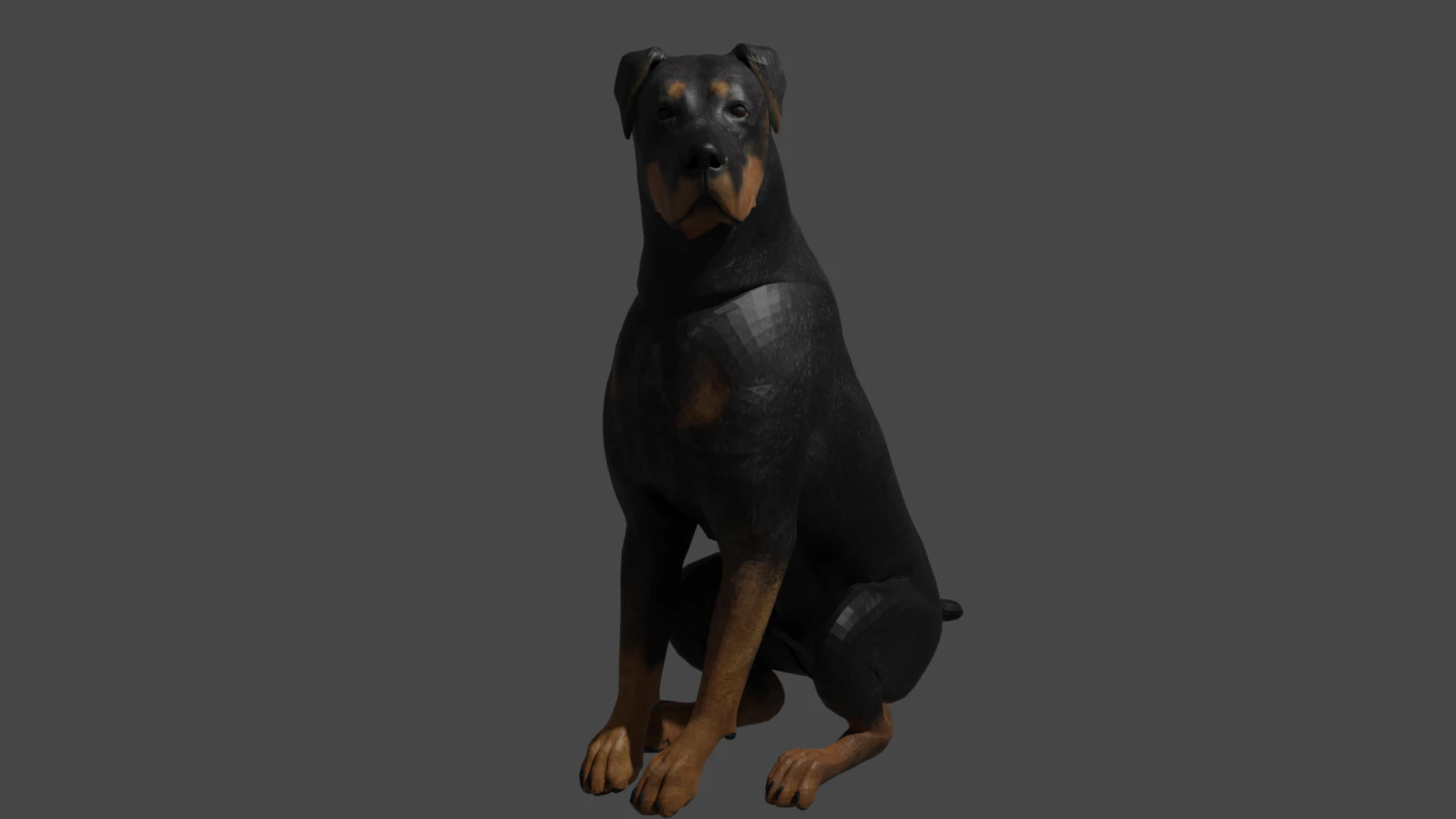 Dog doberman 3D Model .c4d .max .obj .3ds .fbx .stl .blend