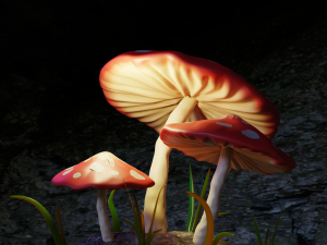 Mushrooms 3D Модель