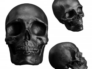 Human Skull Figurine 3D Model